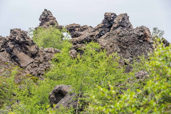 Lavafeld Dimmuborgir