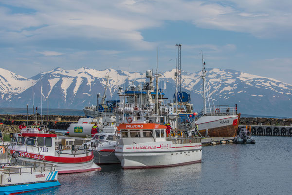 Waltour in Dalvik