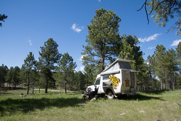 Schönes Bush Camp im Black Hill National Forest