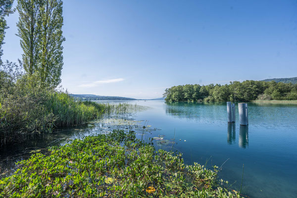 Hallwilersee bei Seengen