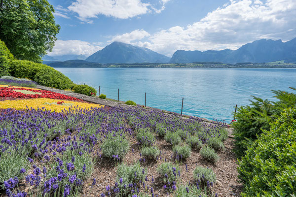 Schlosspark Oberhofen