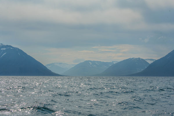 Waltour in Dalvik