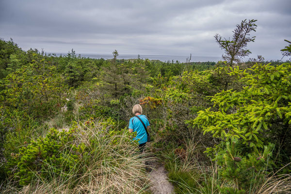 Wanderung im Thy National Park, Stenbjerg Landingsplads 