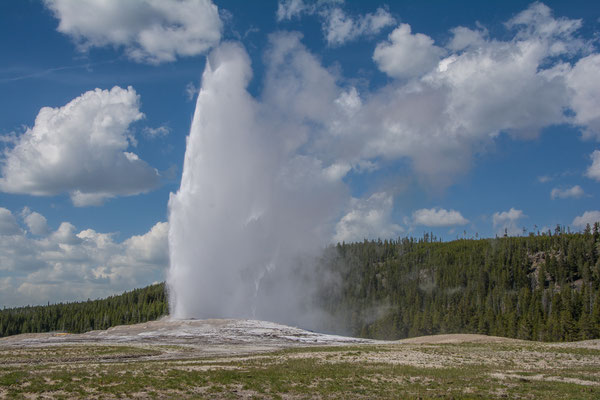 Old Faithful Geysir, spuckt heisses Wasser bis 50m hoch