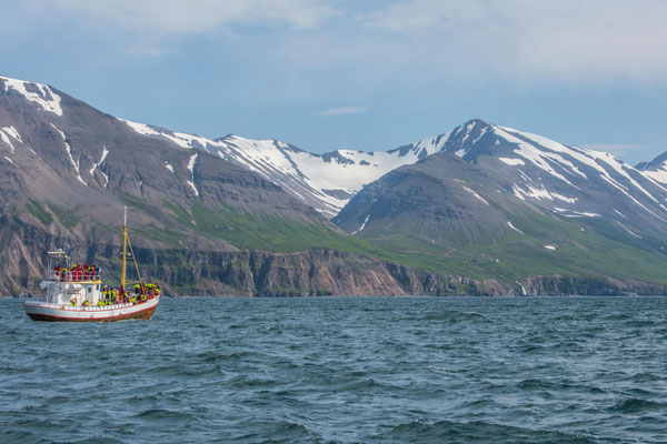 Waltour in Dalvik