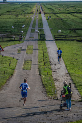 Volks Triathlon, Bei der Hamburger Halligen