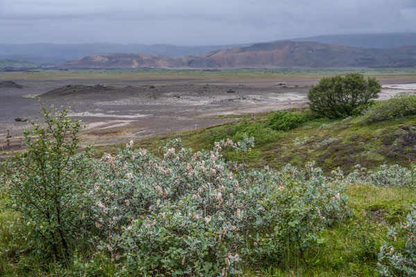 Geothermisches Gebiet Krýsuvík