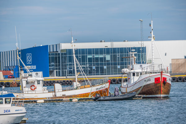 Waltour in Dalvik