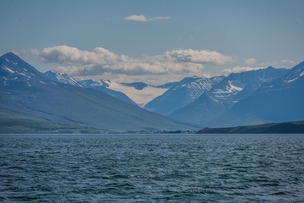 Waltour in Dalvik