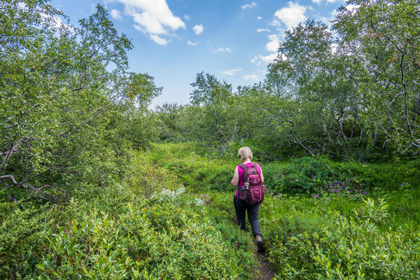 Wanderung im Asbyrgi Nationalpark