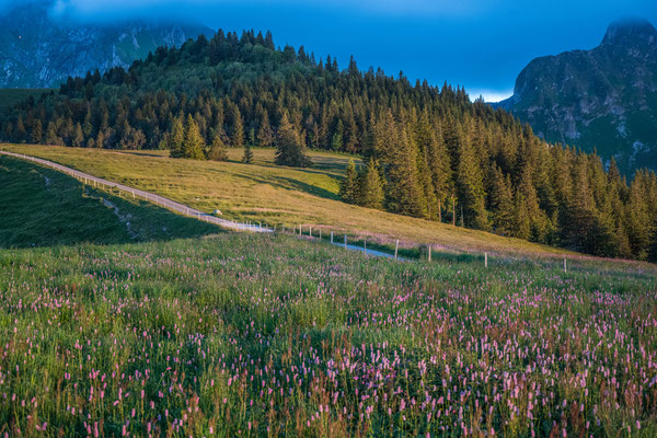 Abendstimmung Gantrisch Naturpark