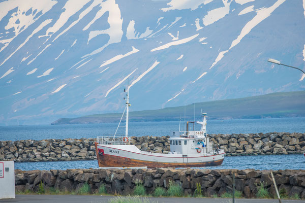 Waltour in Dalvik
