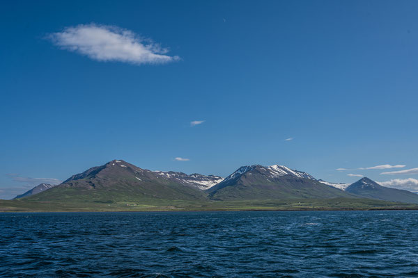 Waltour in Dalvik