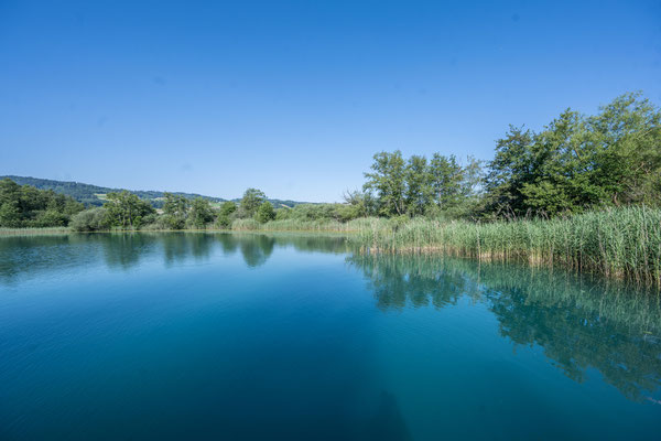 Hallwilersee bei Seengen