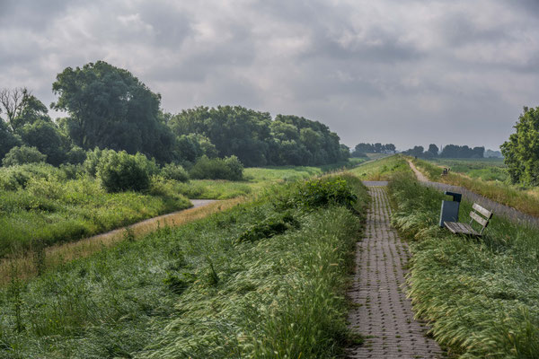 An der Elbe