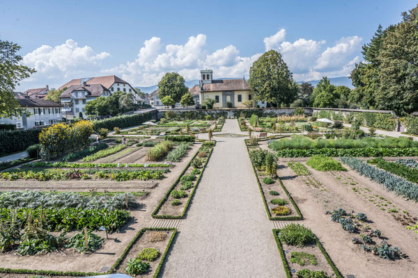 Garten des Schloss Prangins