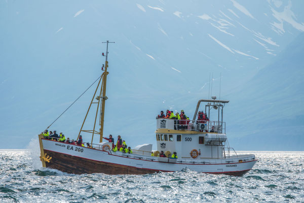 Waltour in Dalvik