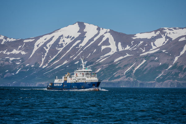 Waltour in Dalvik