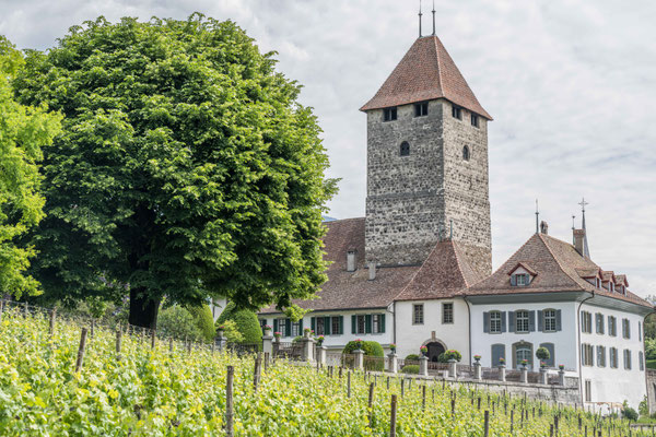 Schloss Spiez