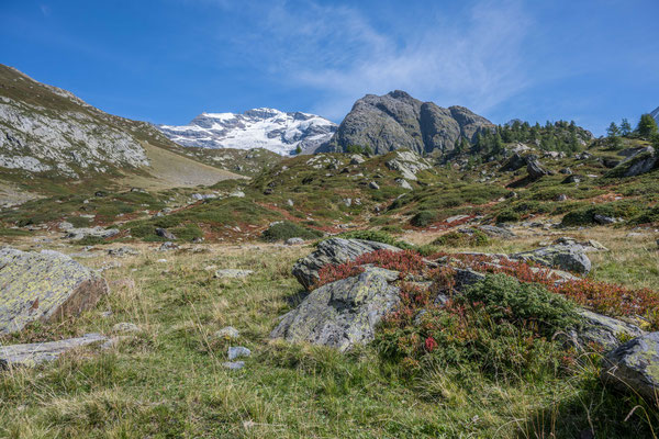 Lötschental