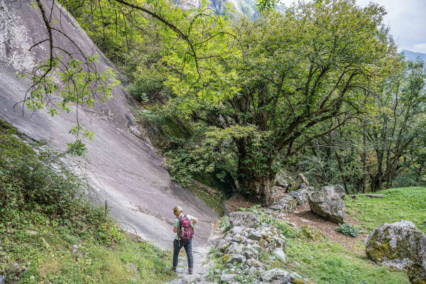 Val Bavona