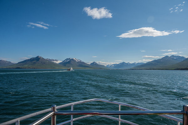 Waltour in Dalvik