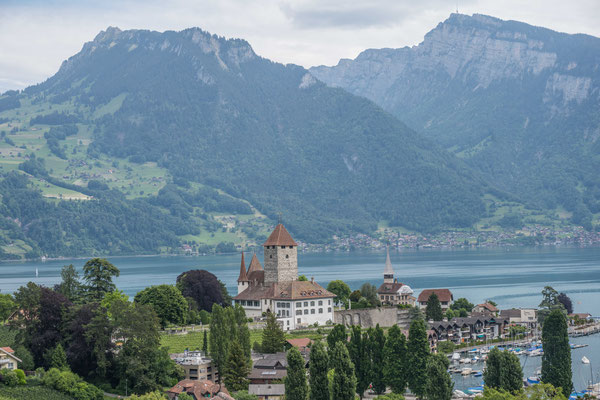 Blick aufs Schloss Spiez