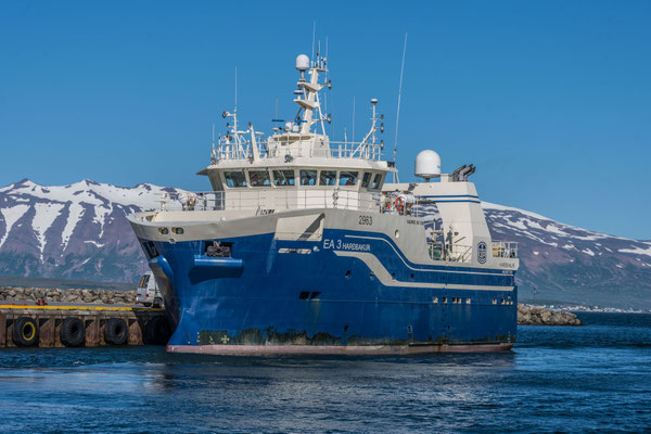 Waltour in Dalvik