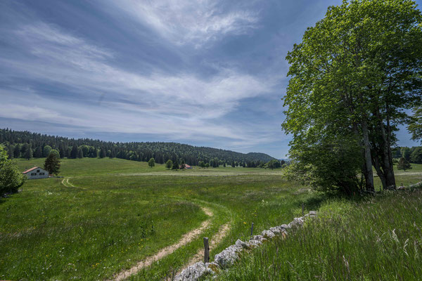 Jura Landschaft