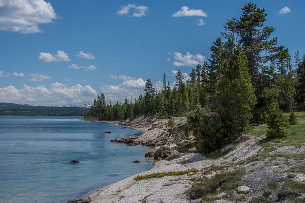 Am Ufer des Yellowstone Lakes