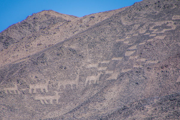 Geoglyphen von "Cerro Pintado"