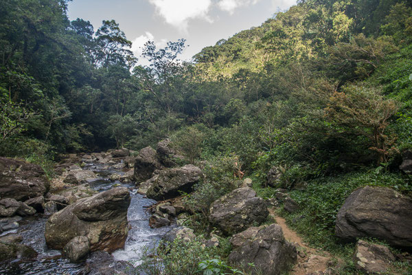 Parque Natural Salto Morato