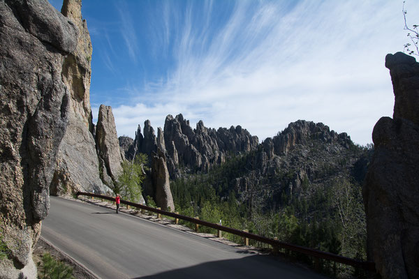 Aussicht am Needles Highway