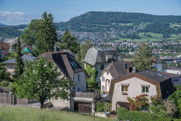 Blick auf Pfeffingen von Dornach aus