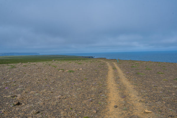 Wanderung auf der Halbinsel Raudanes