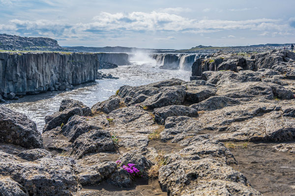 Selfoss