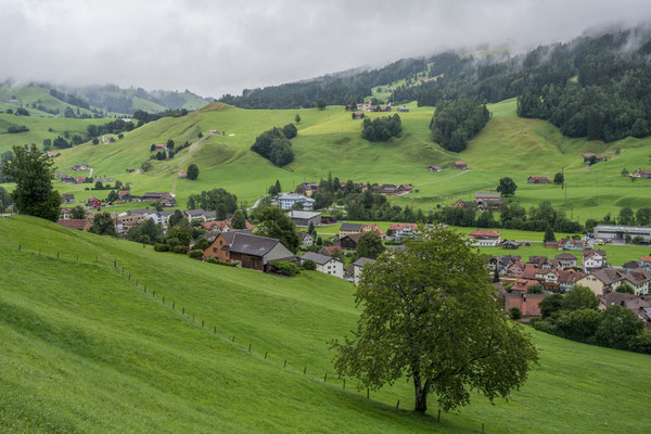 Hügellandschaft im Appenzellerland