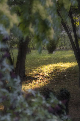Lichtwege -  © Helga Jaramillo Arenas - Fotografie und Poesie / Dezember 2022