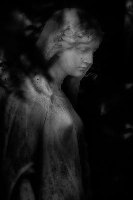 Im Licht der Zuversicht -  © Helga Jaramillo Arenas - Fotografie und Poesie / April 2021