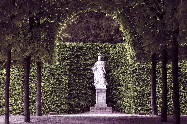 Lindenallee - © Helga Jaramillo Arenas - Fotografie und Poesie / April 2018