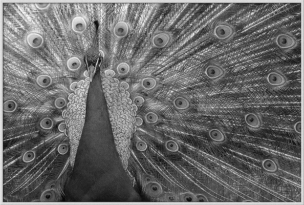 Einem Leuchten gleich - © Helga Jaramillo Arenas - Fotografie und Poesie / Mai 2020