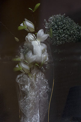 In und hinter Glas - © Helga Jaramillo Arenas - Fotografie und Poesie / August 2016