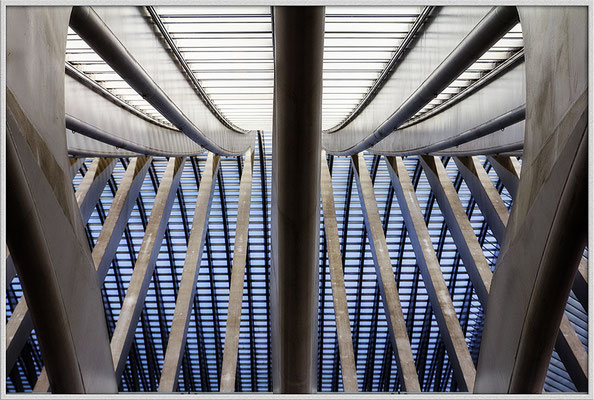 Liége Guillemins - Tragende Kraft - © Helga Jaramillo Arenas - Fotografie und Poesie / April 2018