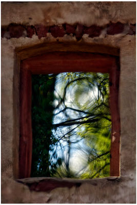 Entschwundener Wald - © Helga Jaramillo Arenas - Fotografie und Poesie / April 2015