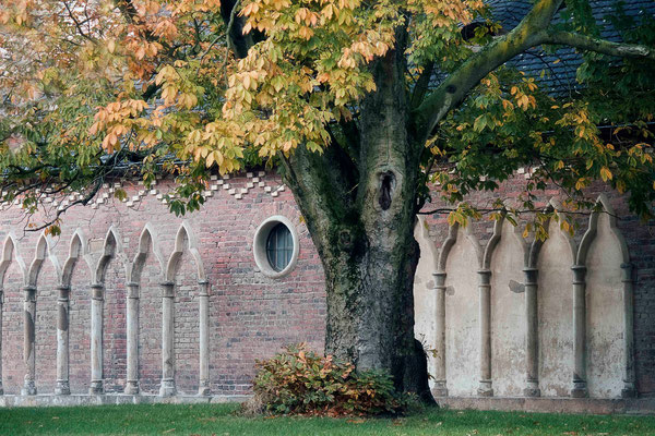 Im Schutze des Baumes / Wörlitz - © Helga Jaramillo Arenas - Fotografie und Poesie / Mai 2015