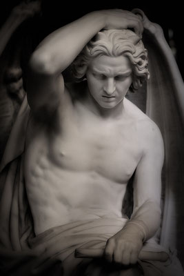 Die Verwunderung des Gestürzten - © Helga Jaramillo Arenas - Fotografie und Poesie / März 2018