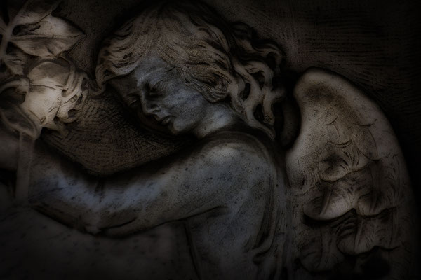 sub rosa - © Helga Jaramillo Arenas - Fotografie und Poesie / November 2018