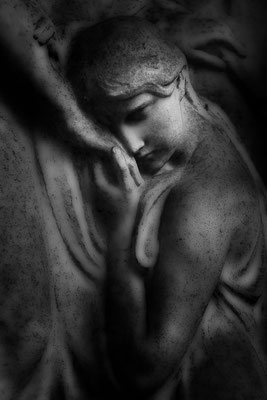 Erdgebunden bleiben -  © Helga Jaramillo Arenas - Fotografie und Poesie / Februar 2022