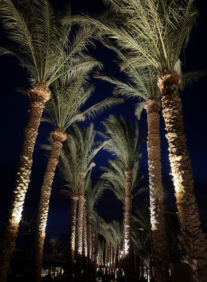Weggefährten - Hurghada/Ägypten  - © Helga Jaramillo Arenas - Fotografie und Poesie / Januar 2025