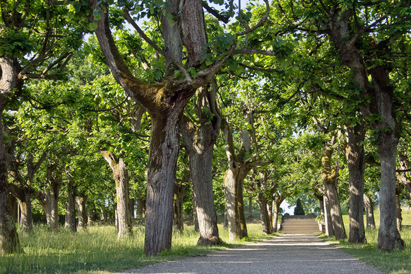 Barocke Wege / Schloß Seehof Memmelsdorf - © Helga Jaramillo Arenas - Fotografie und Poesie / Juni 2015 